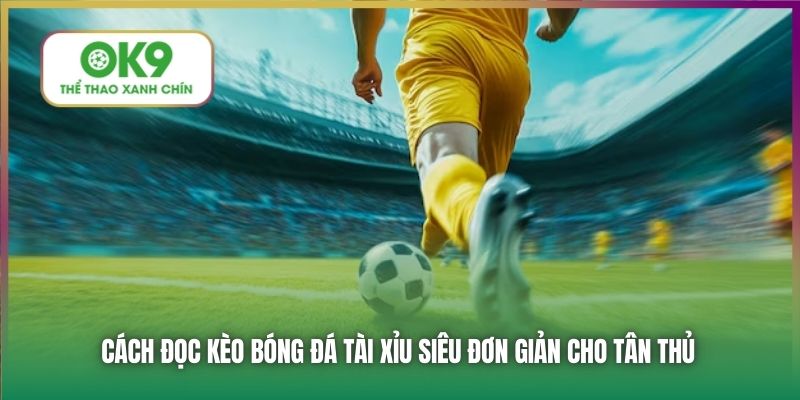 Cách đọc kèo bóng đá Tài Xỉu siêu đơn giản cho tân thủ