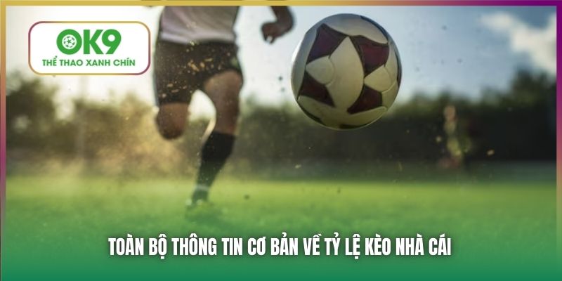 Toàn bộ thông tin cơ bản về tỷ lệ kèo nhà cái